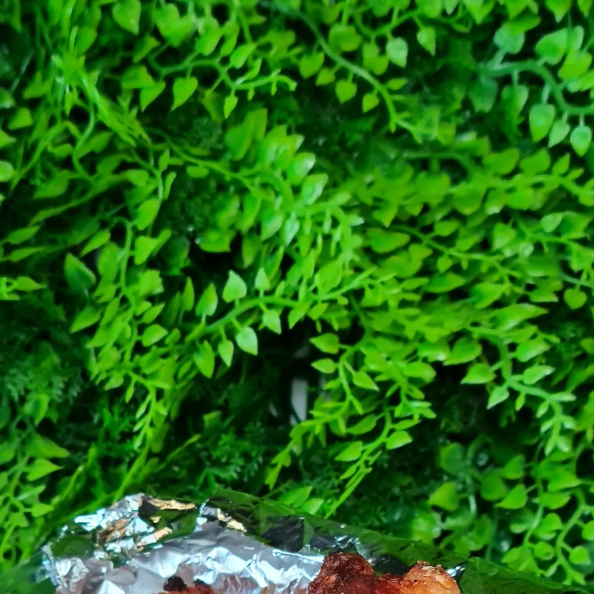 Oven-Baked Wings 10 pcs
