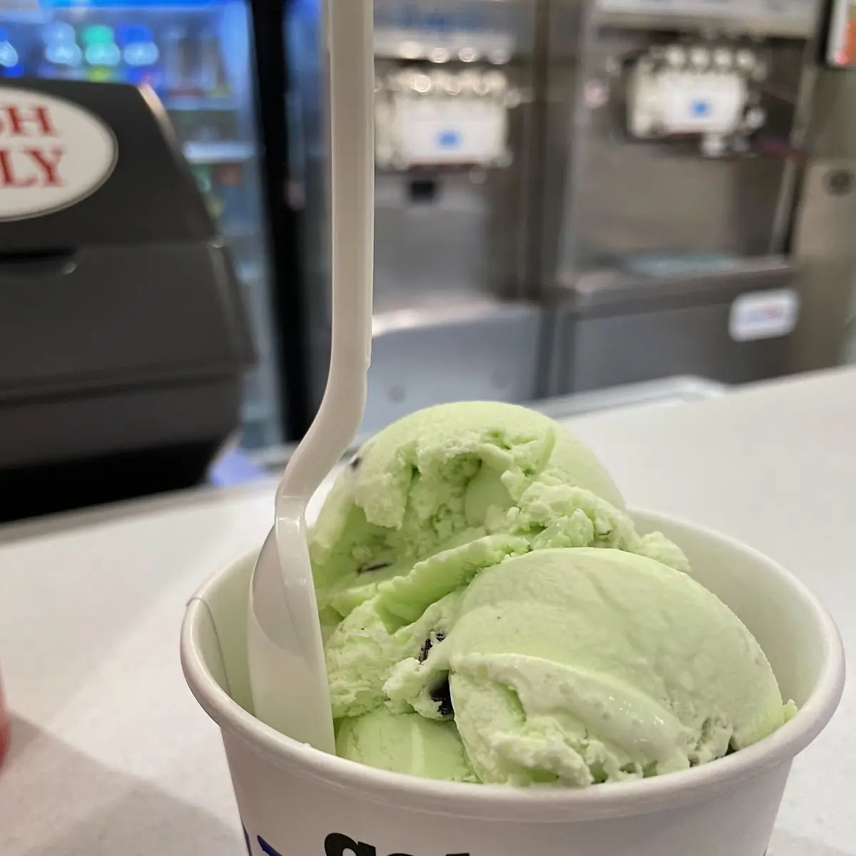 Mint Chocolate Chip