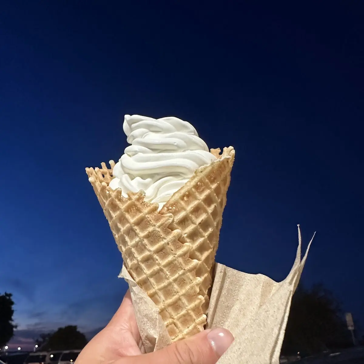 Vanilla Ice Cream Cone