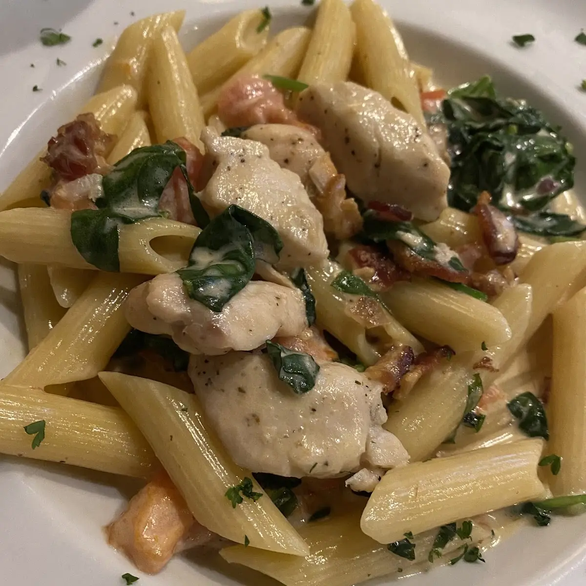 Penne Pasta