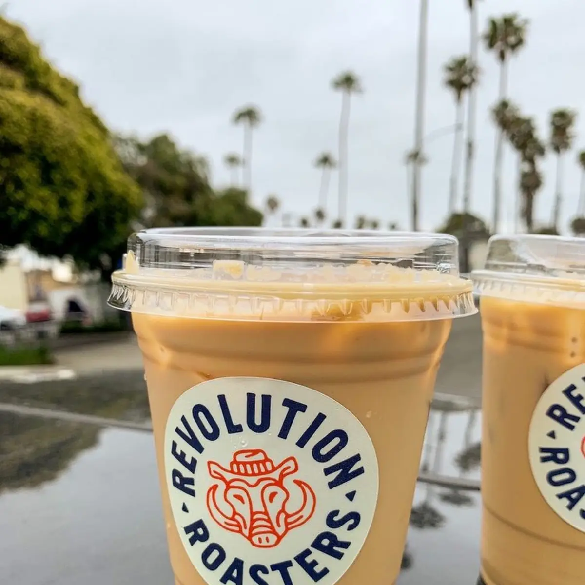 Iced Vanilla Lattes