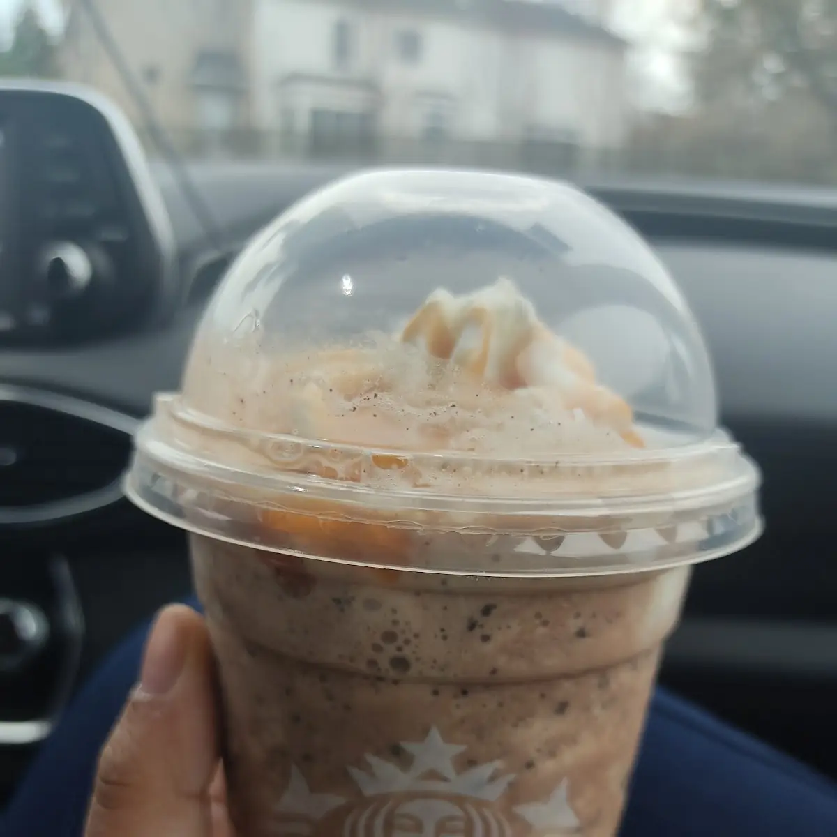 Double Chocolate Chip Creme Frappuccino