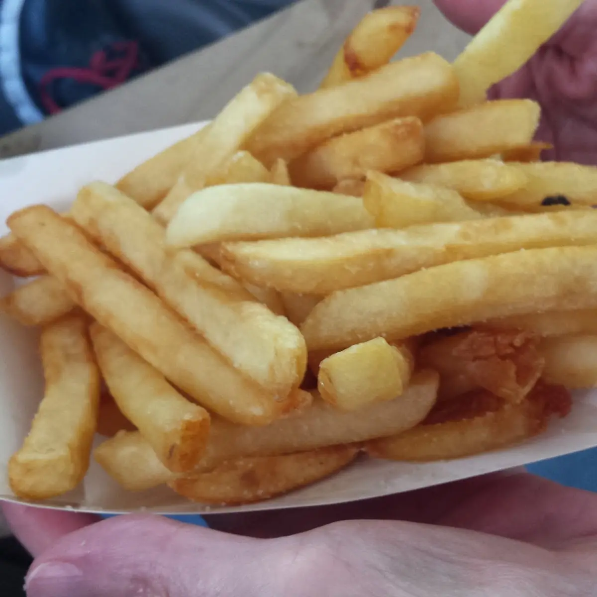 Regular Fries