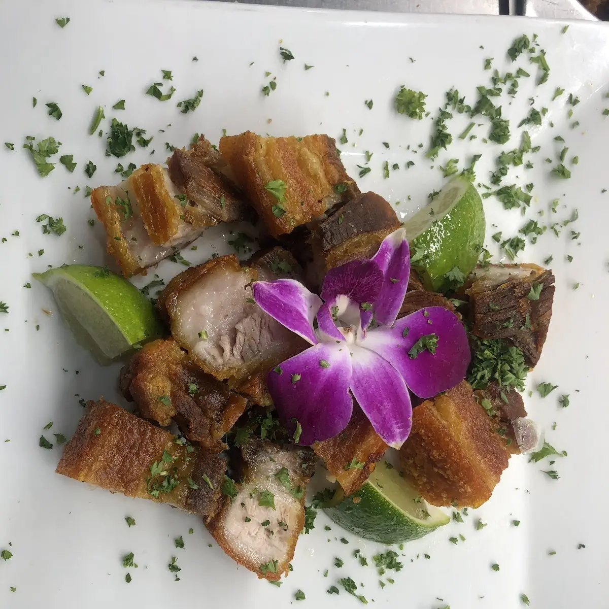 Fried Pork Carnita Salada