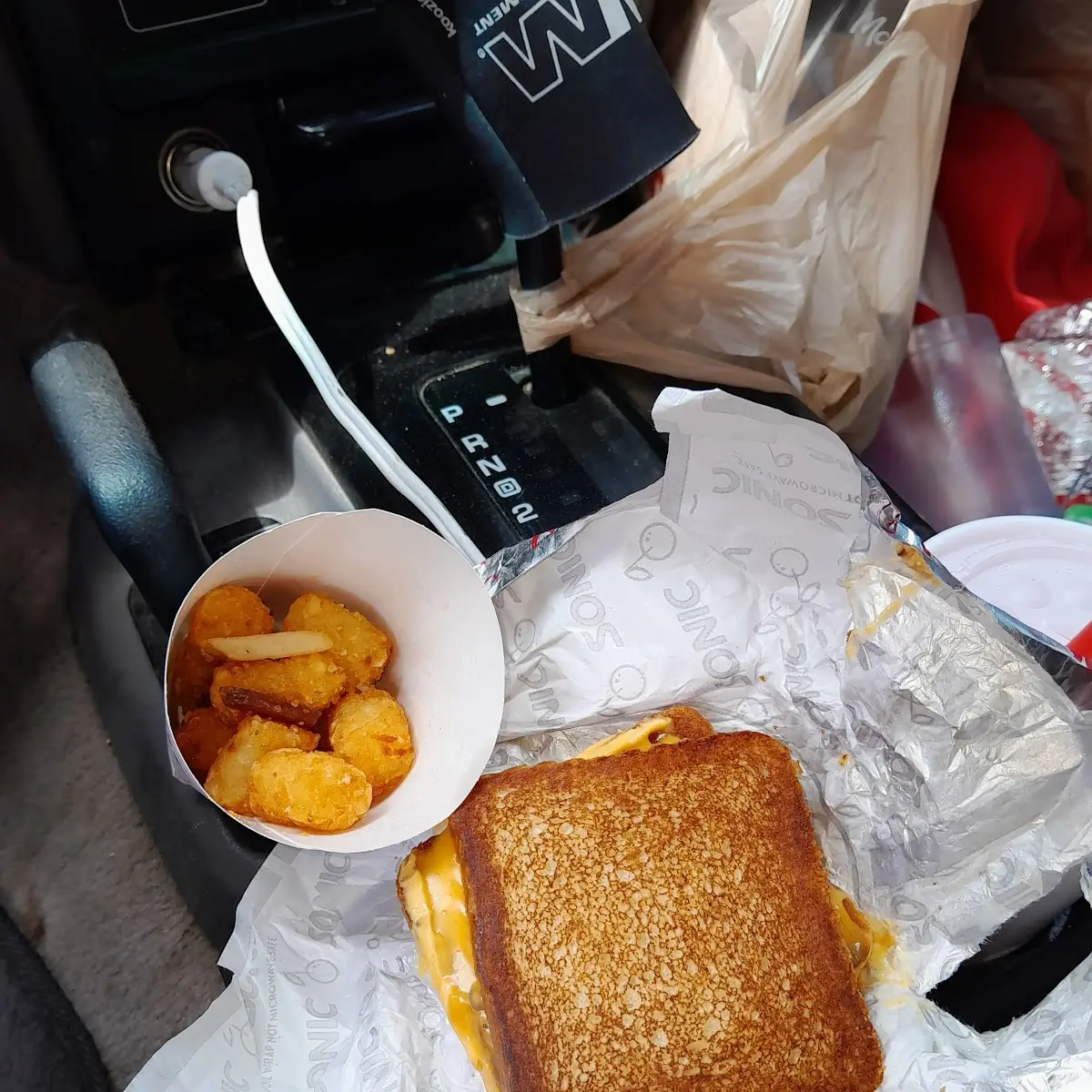 Lousy Cheese Sandwich and Tater Tots