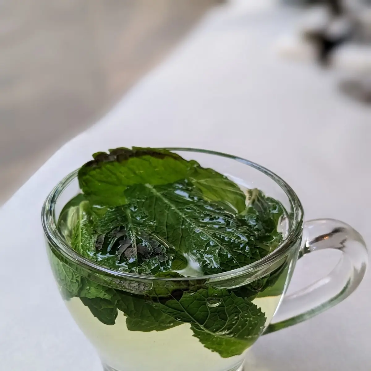 Mint Tea