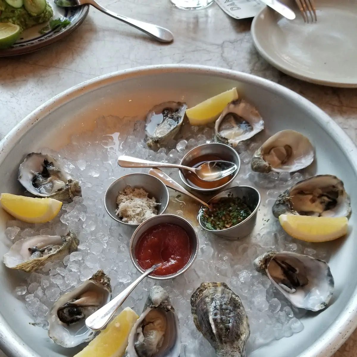 Fresh Oysters