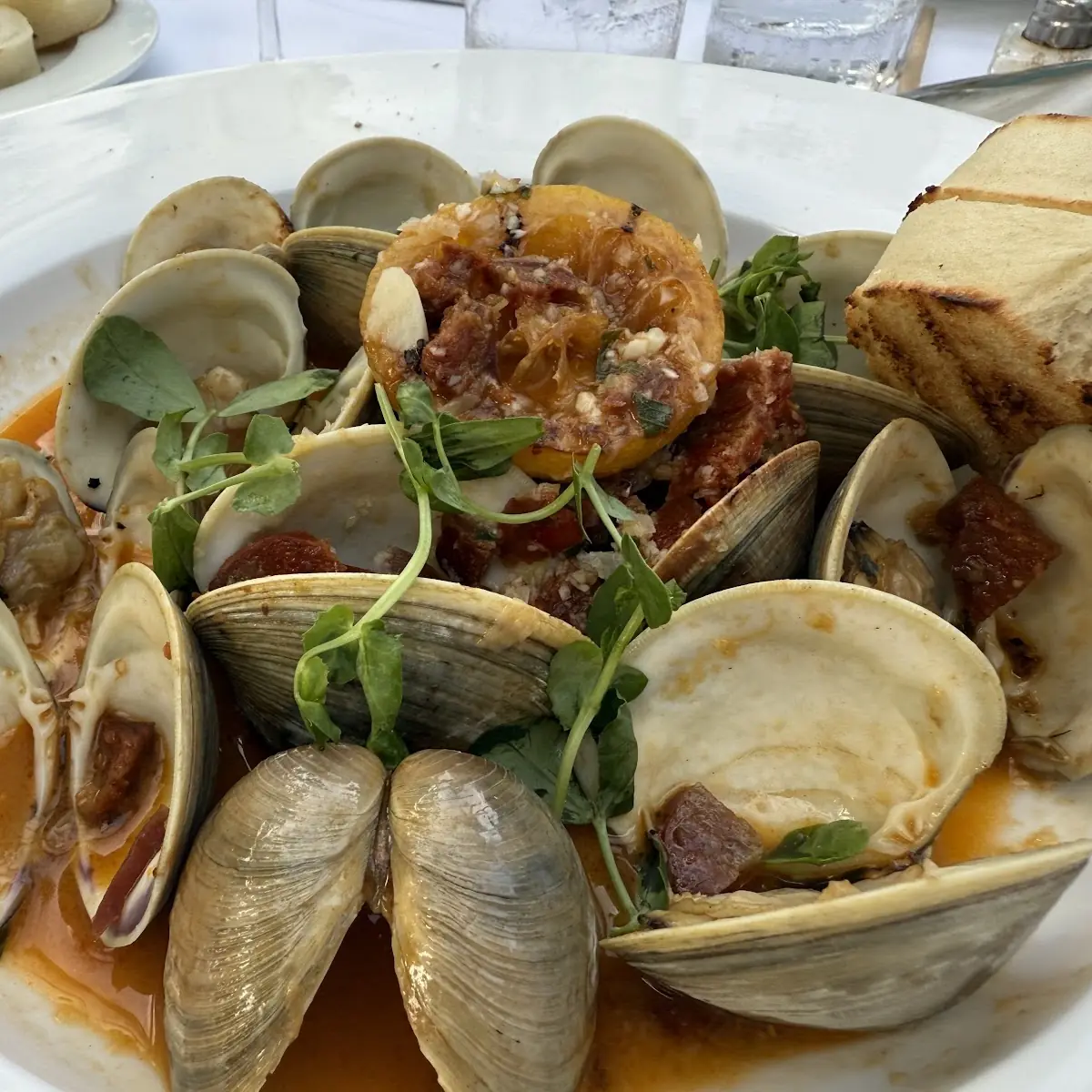 Steamed Clams