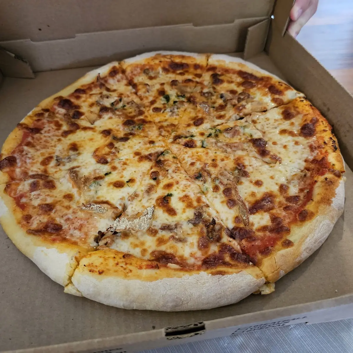 Mushroom Pizza