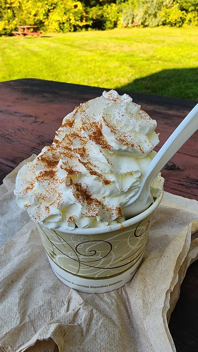 Apple Pie Sundae