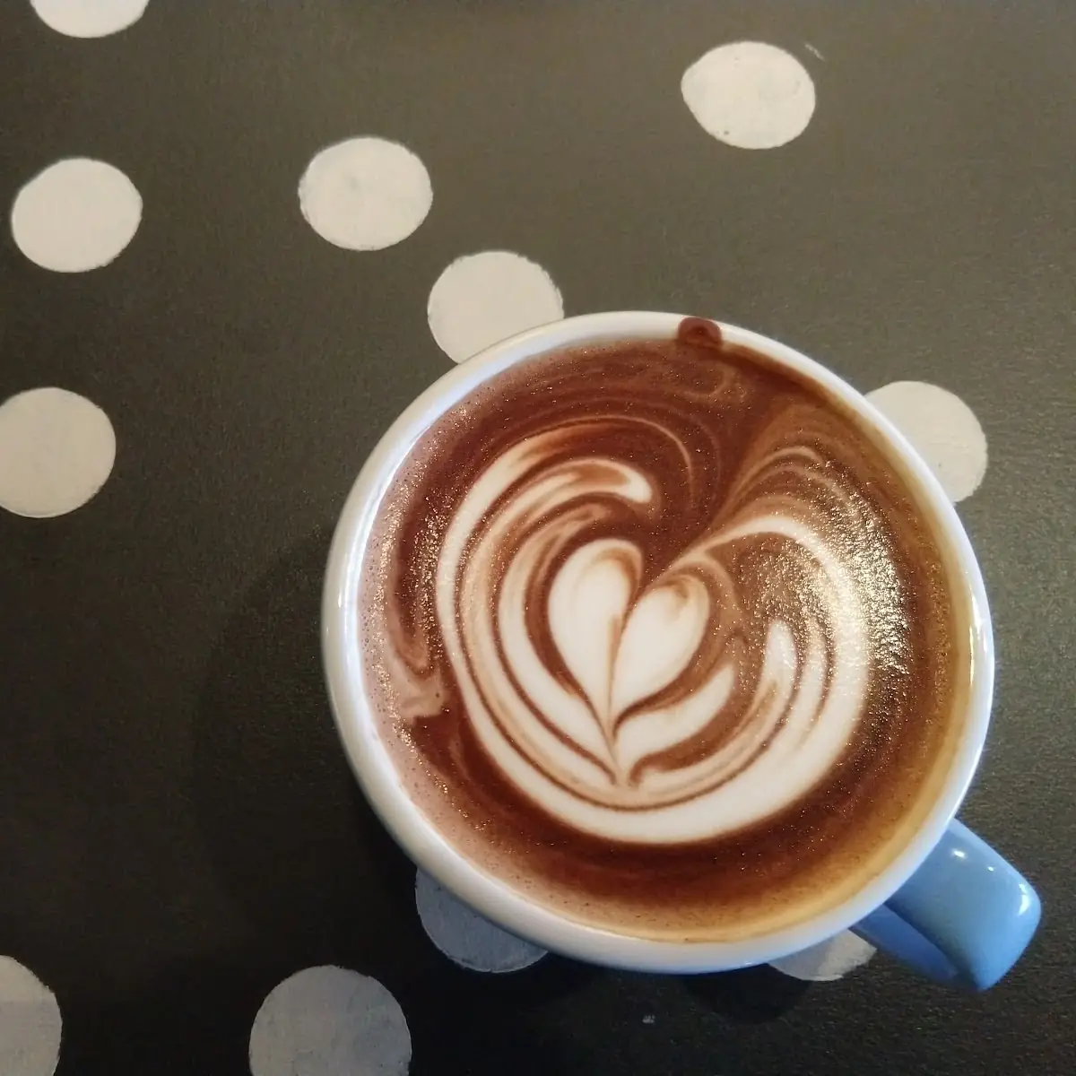 Iced Mocha Latte