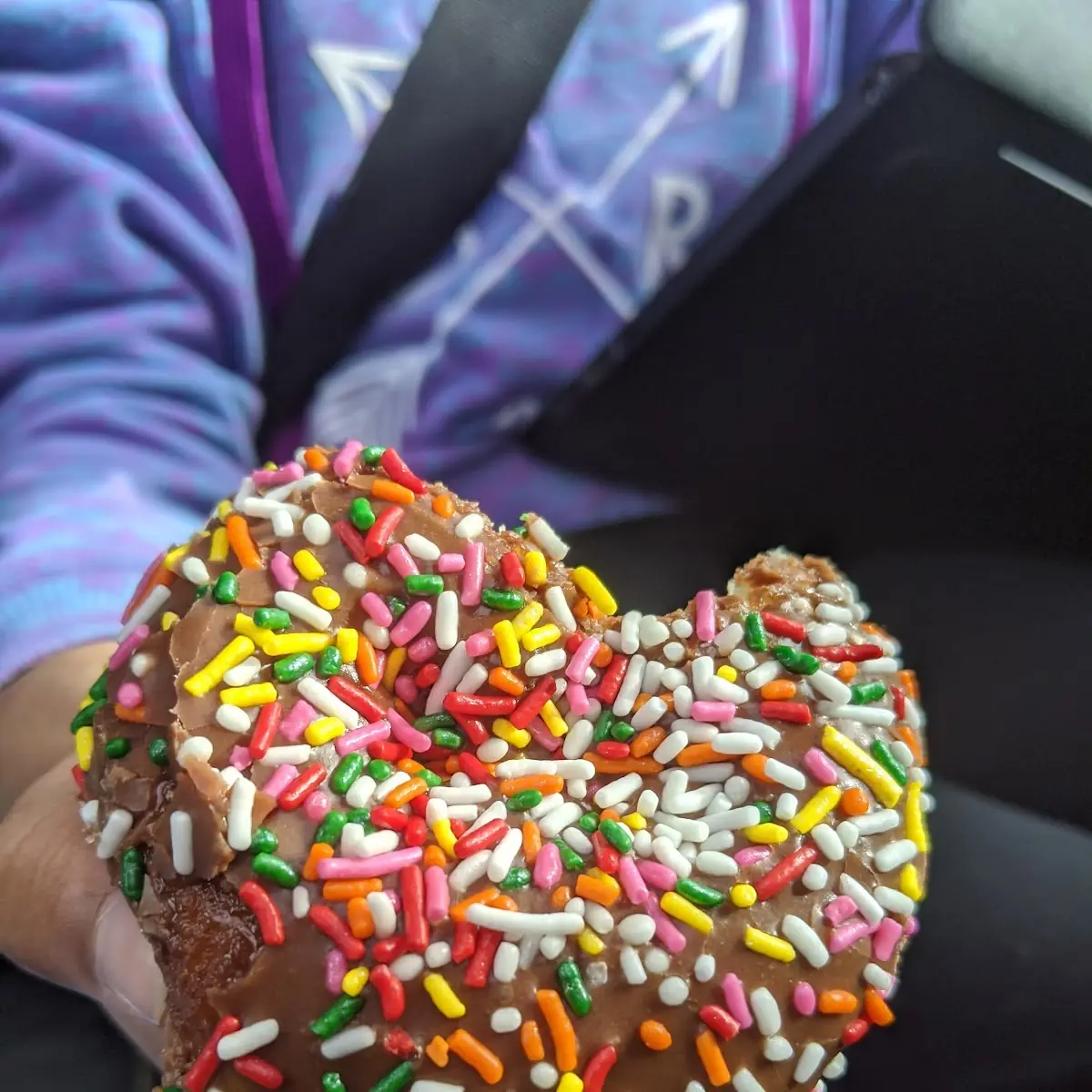 Chocolate Sprinkle Donut