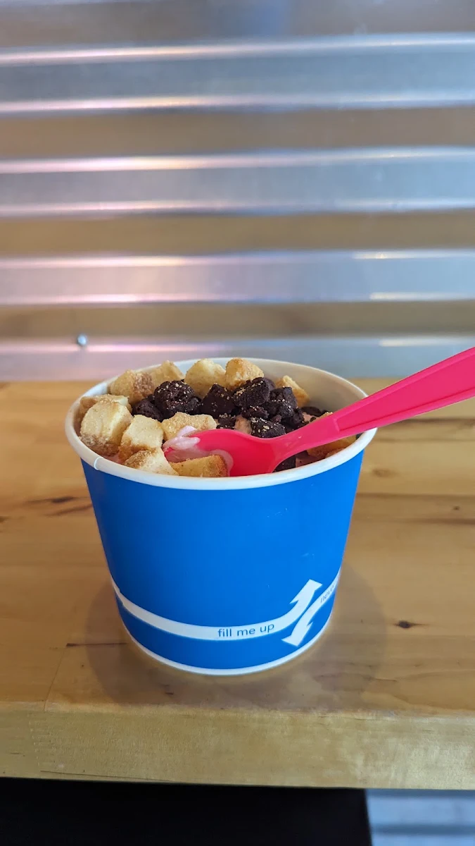 Frozen Yogurt