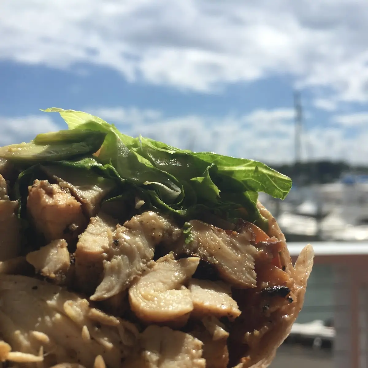 #23 Pulled BBQ Chicken