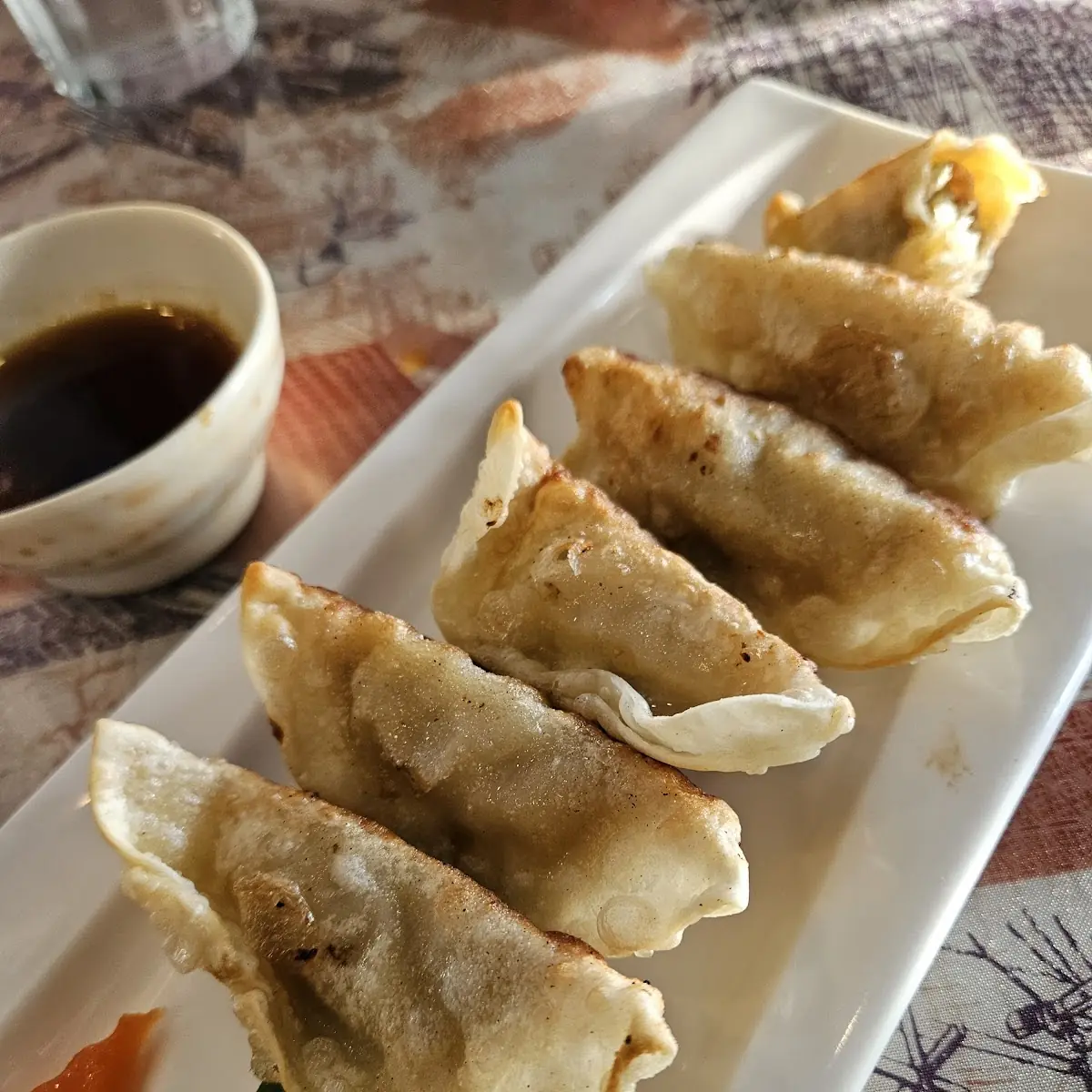 Pan Fried Dumpling