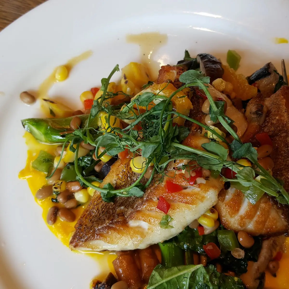 Pan Seared Sheepshead