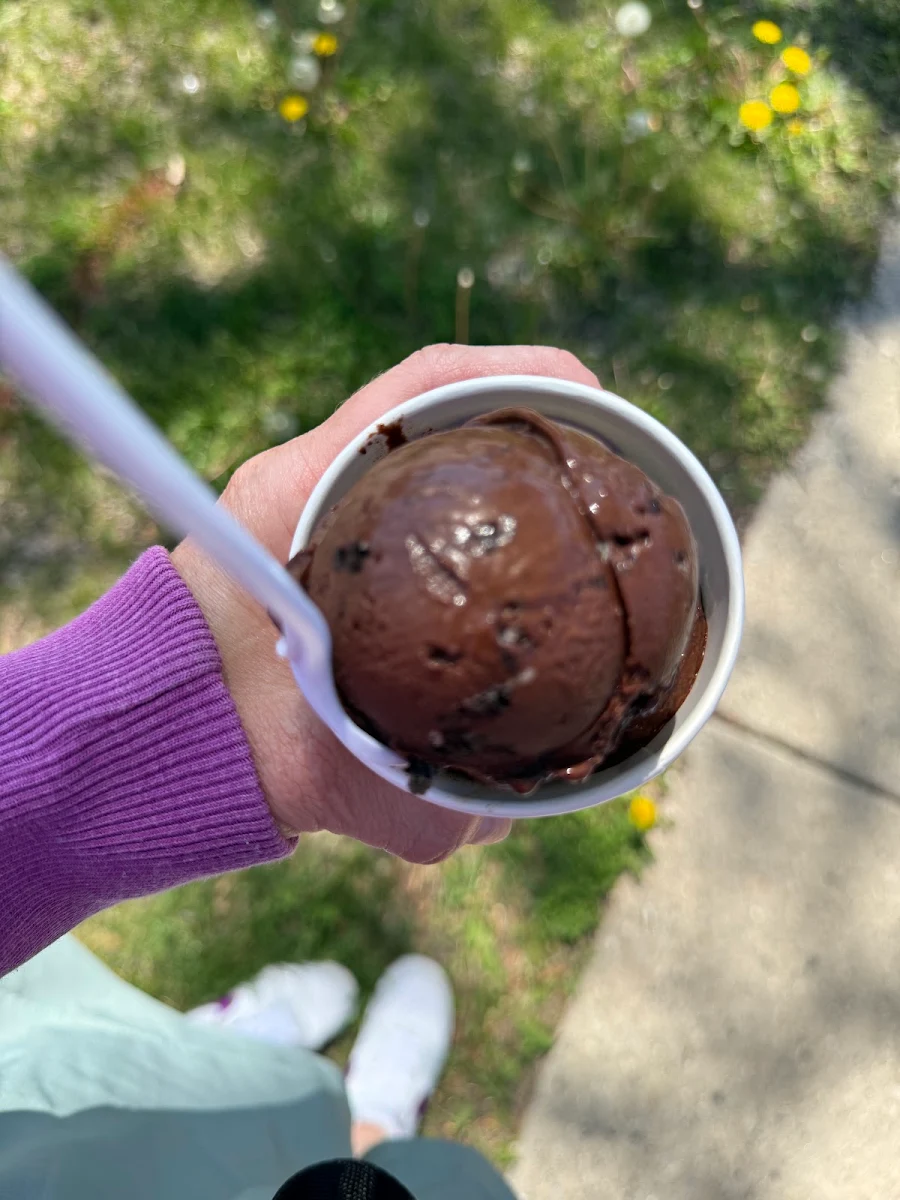 Chocolate Ice Cream