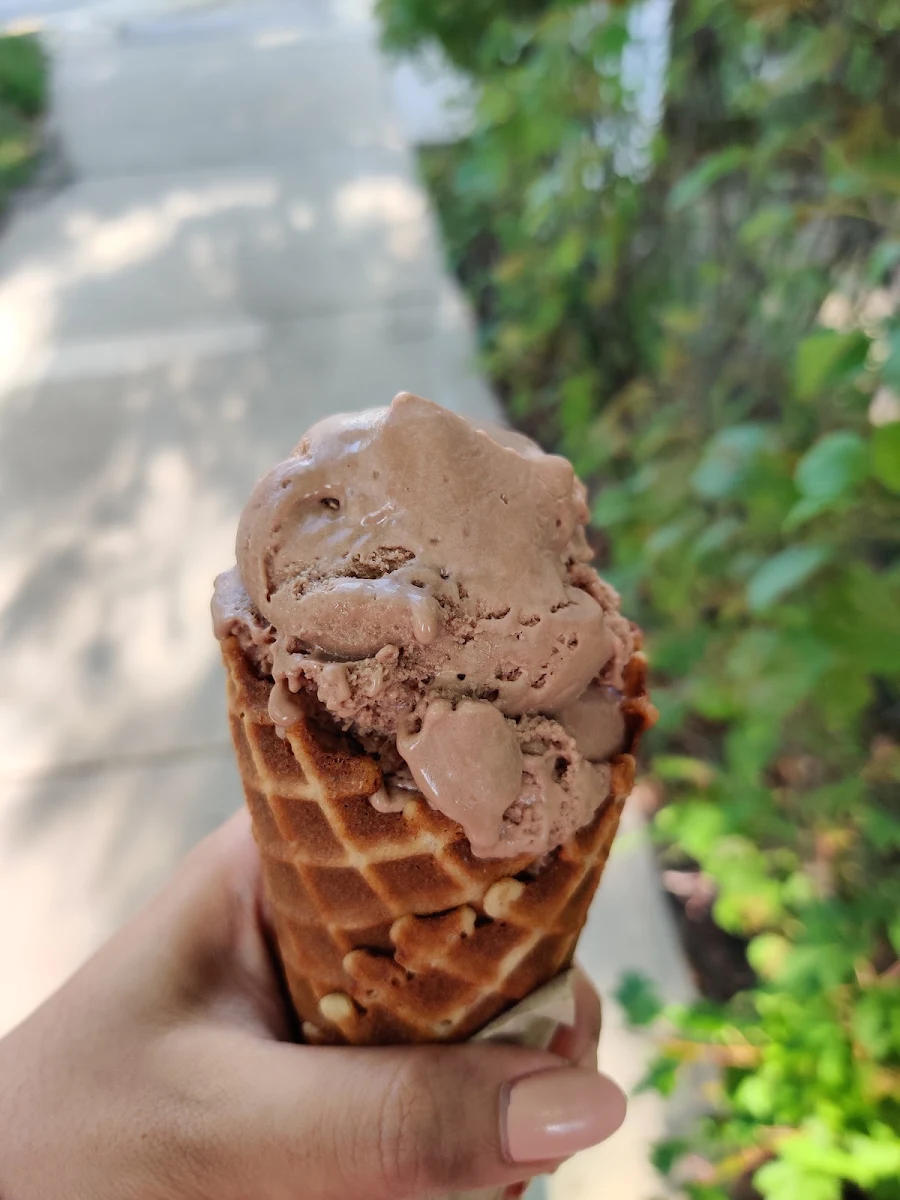 Single in a Waffle Cone