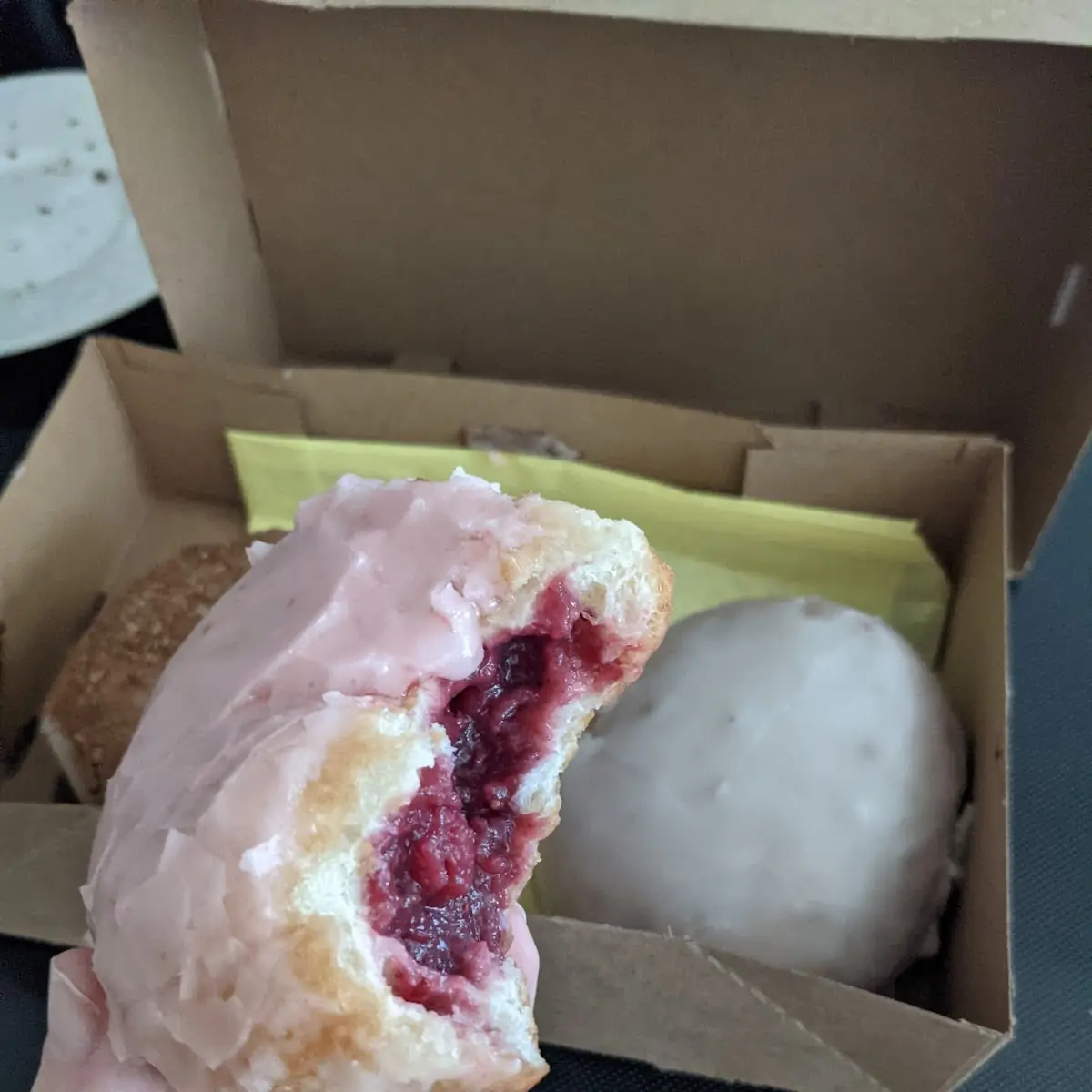 Triple Berry Filled Donuts
