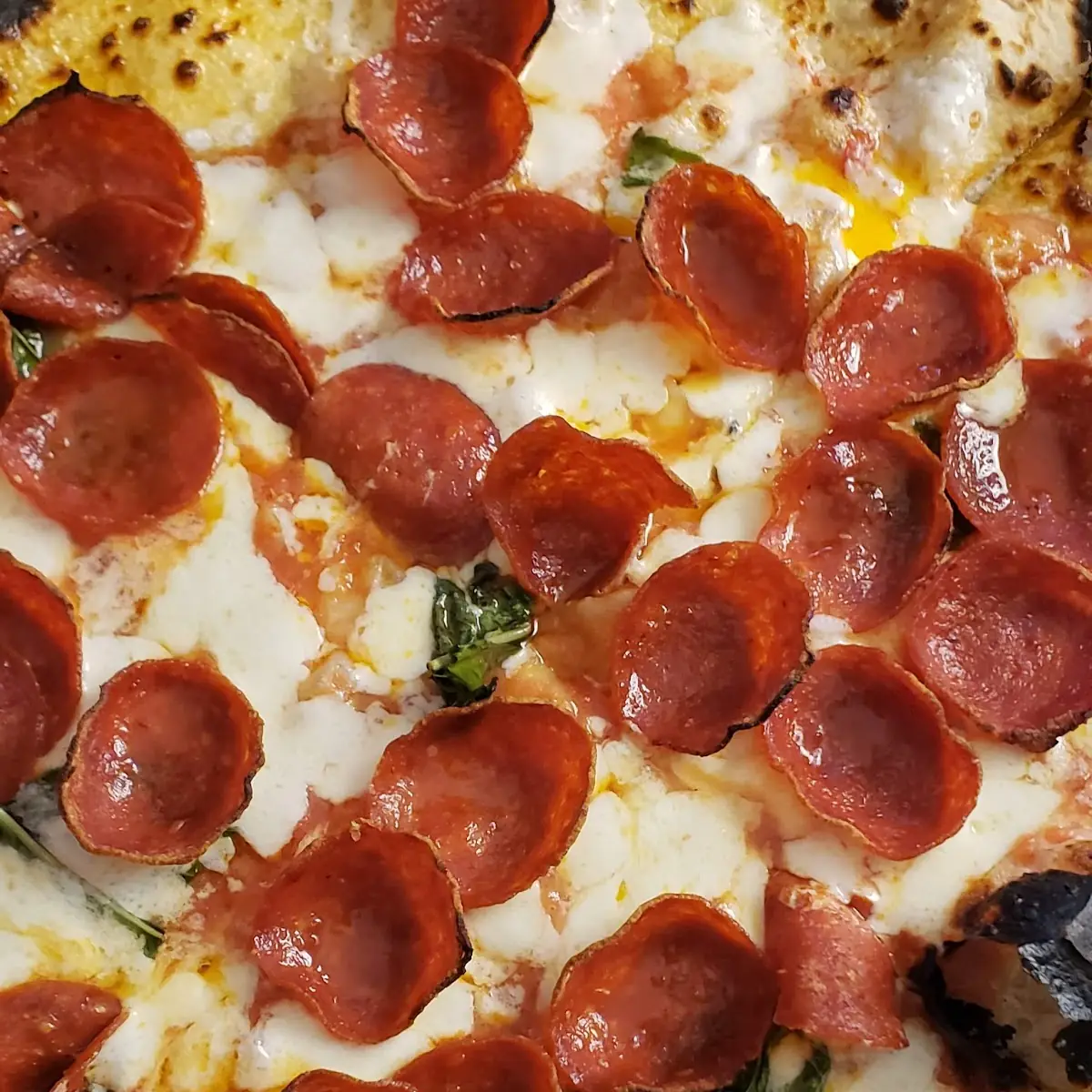 Margarita Pizza with Pepperoni
