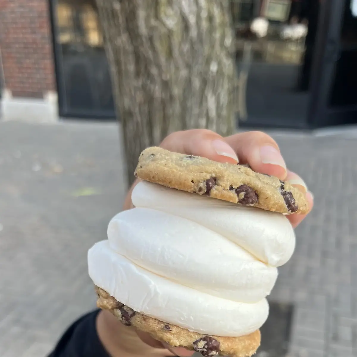 Ice Cream Sandwich