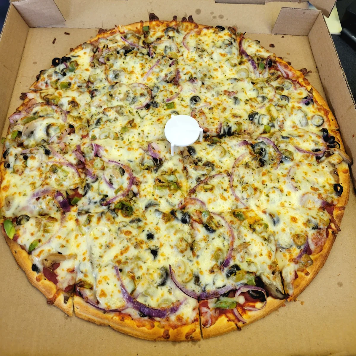 16 Veggie Pizza