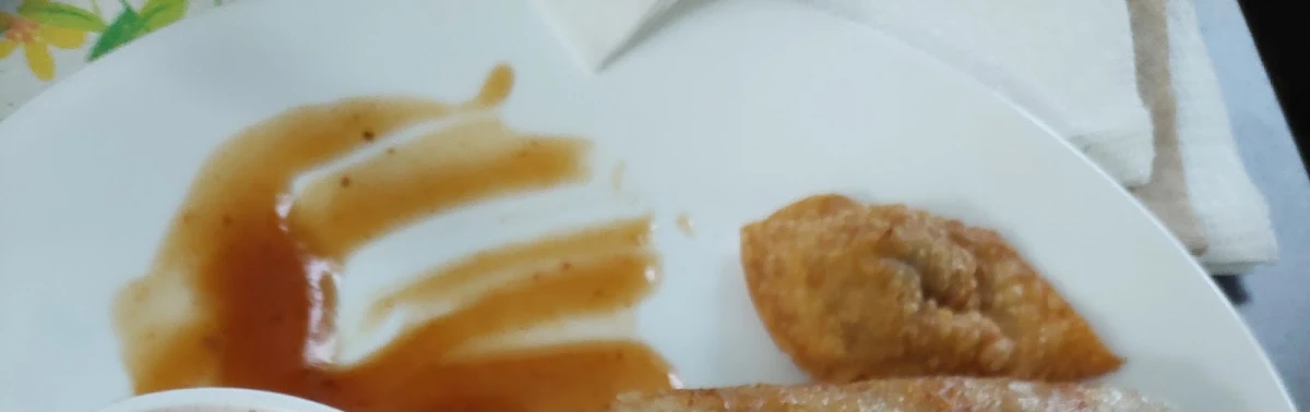 Deep Fried Won Ton
