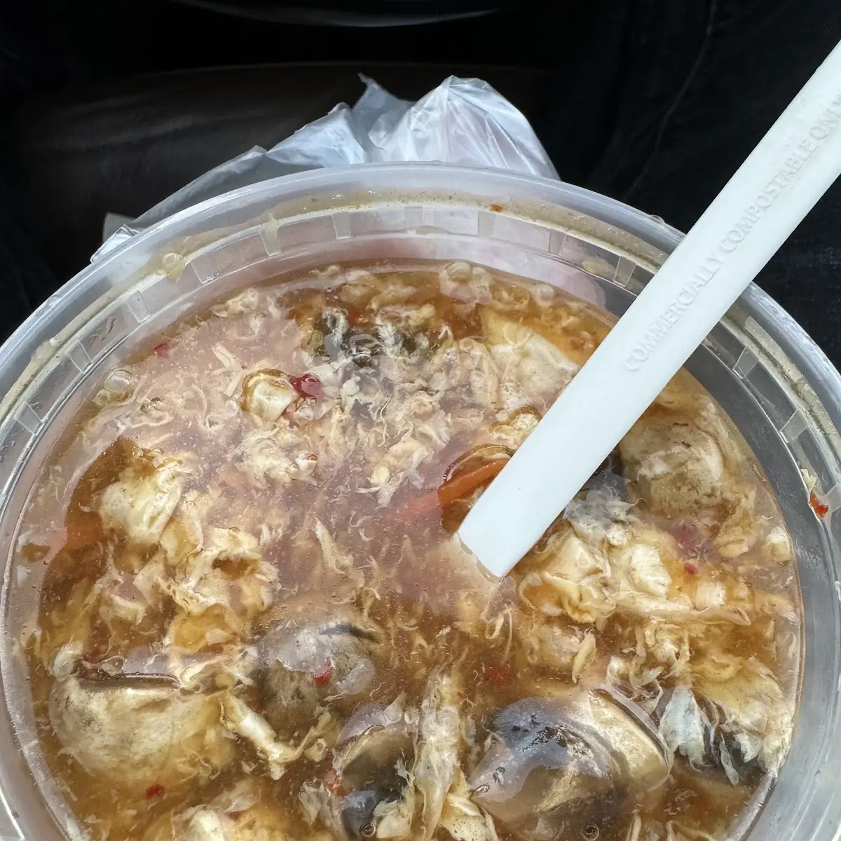 Hot and Sour Soup