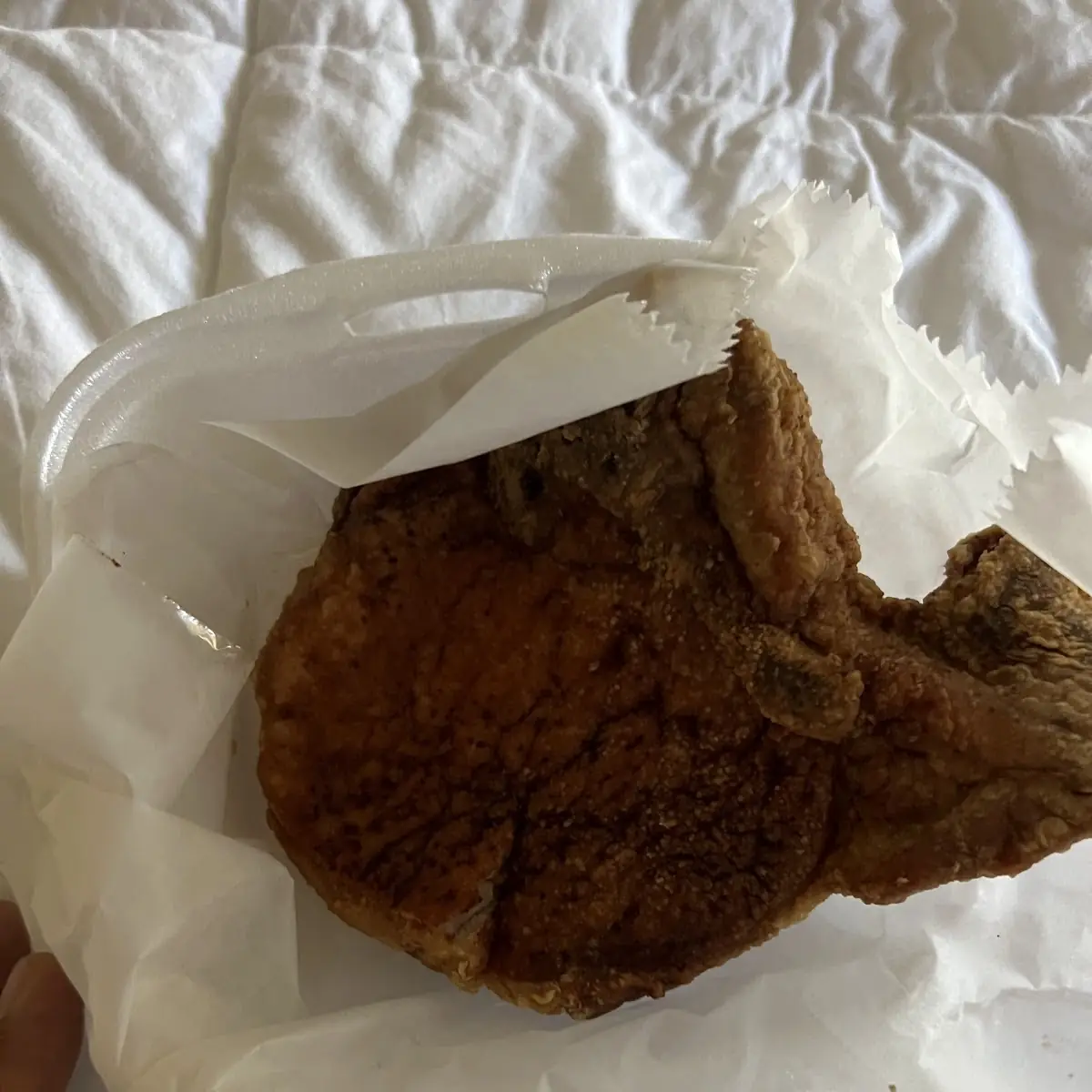 Pork Chop