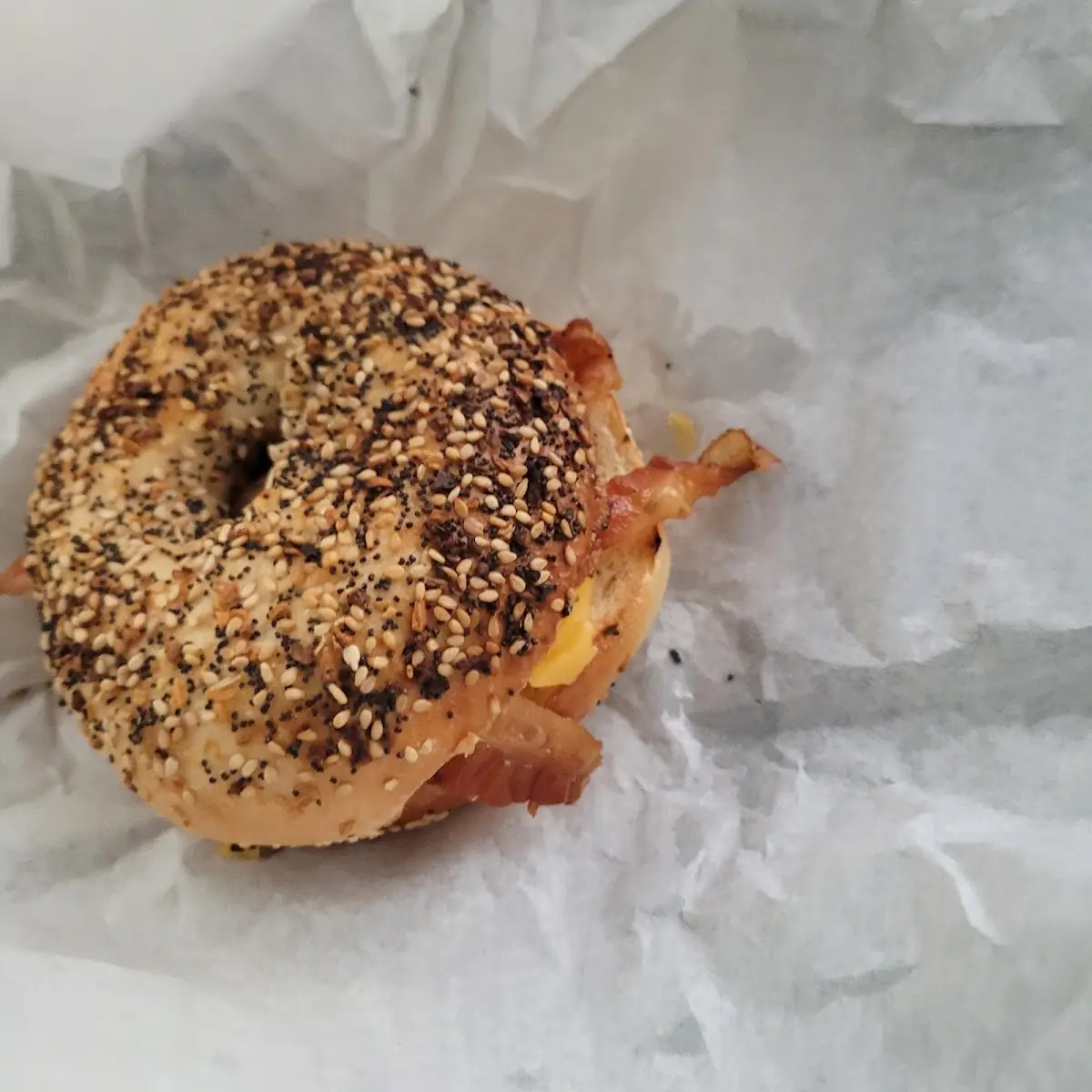 Everything Bagel Toasted
