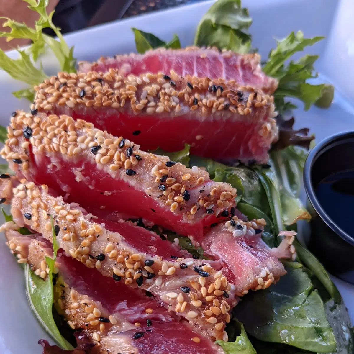 Seared Sesame Ahi Tuna