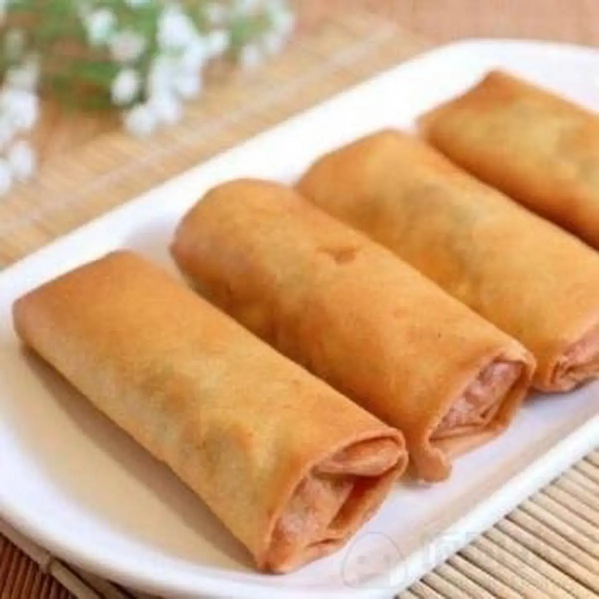 Spring Roll