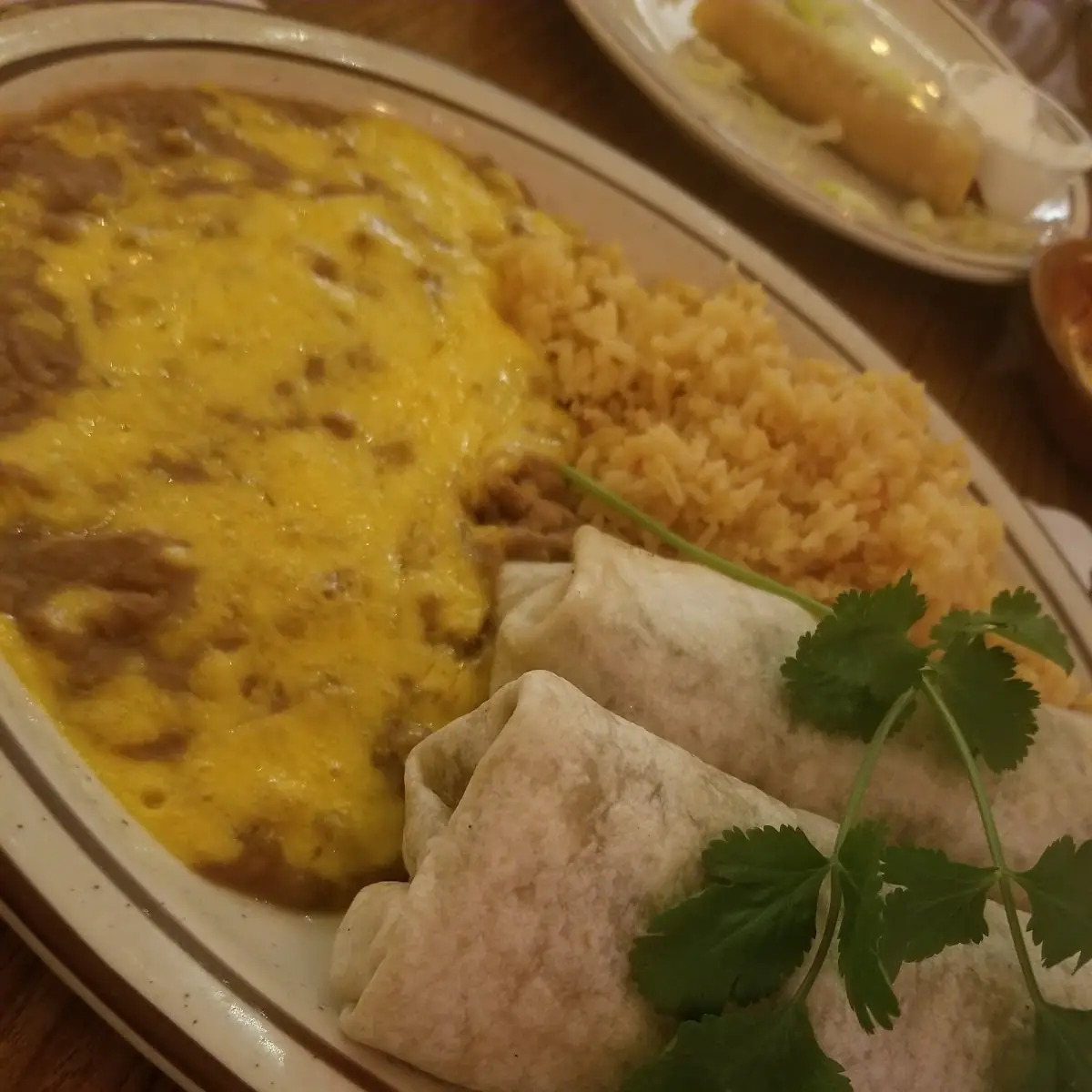 Burrito Combo Plate