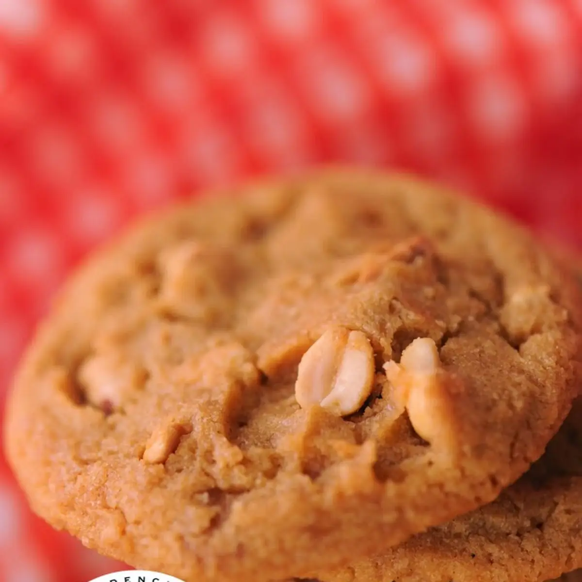 Peanut Butter Cookie 1ea