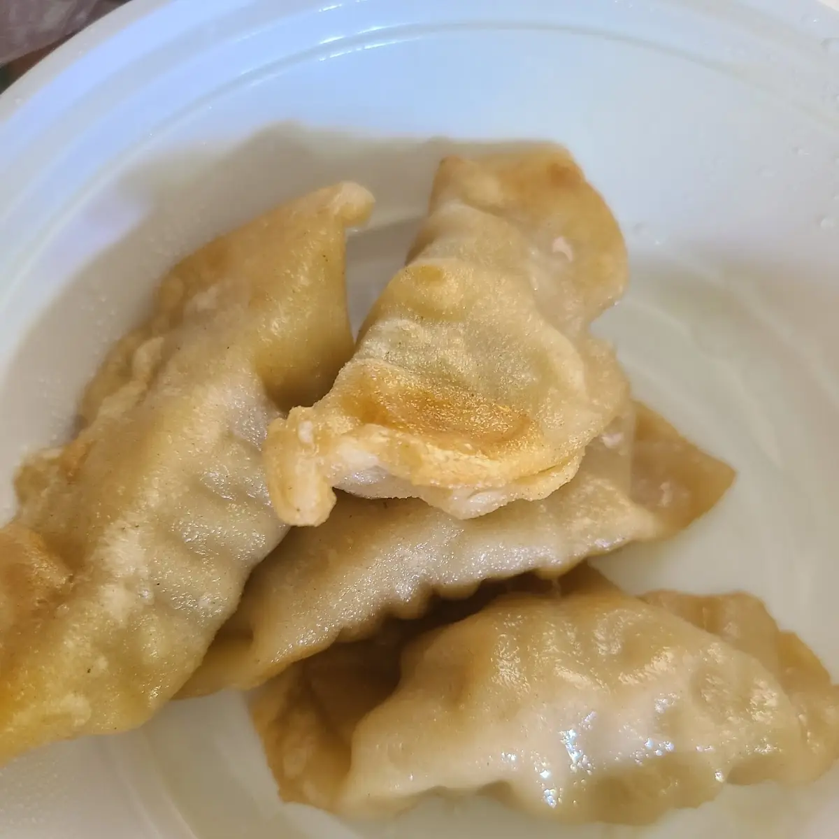 Boiled or Fried Dumplings