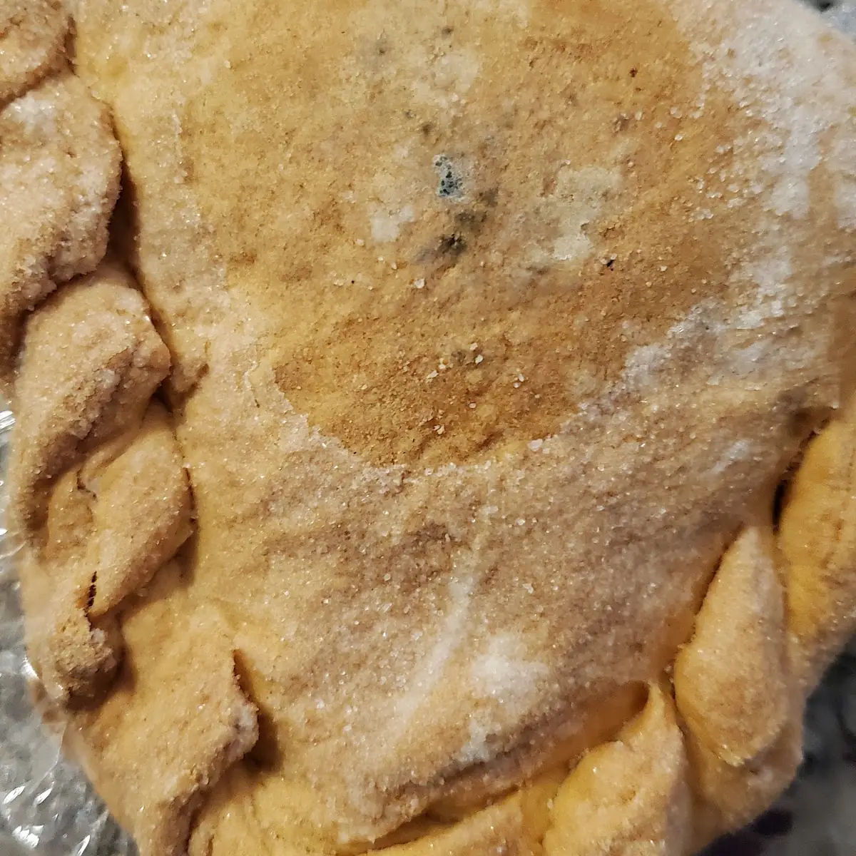 Empanada de Frijol Bean Empanada