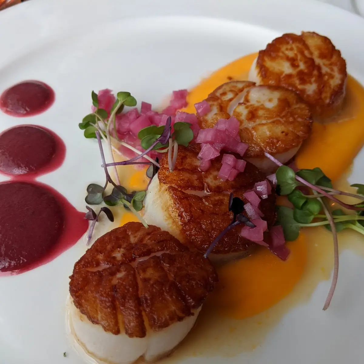 Sea Scallops