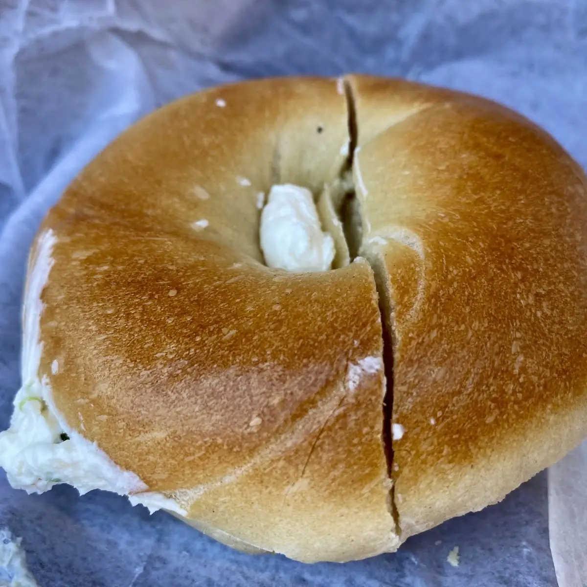 One Dozen Bagels