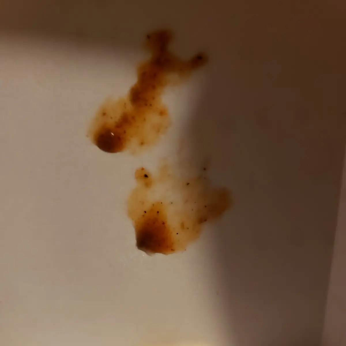 Chili Cheese Fries w Plastic
