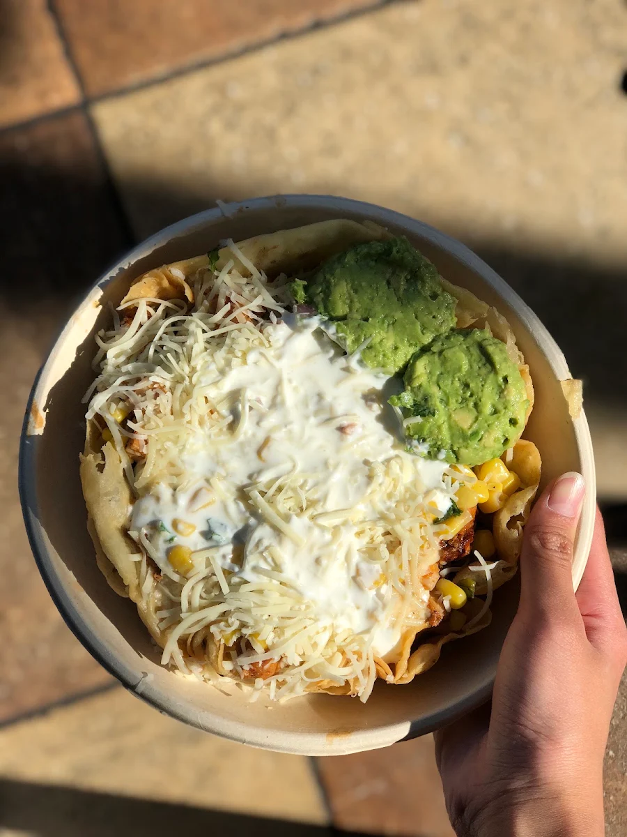 Taco Bowl, QDOBA Mexican Eats