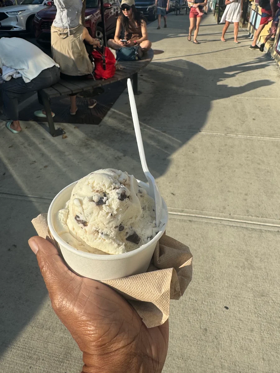 Coconut Chocolate Chip