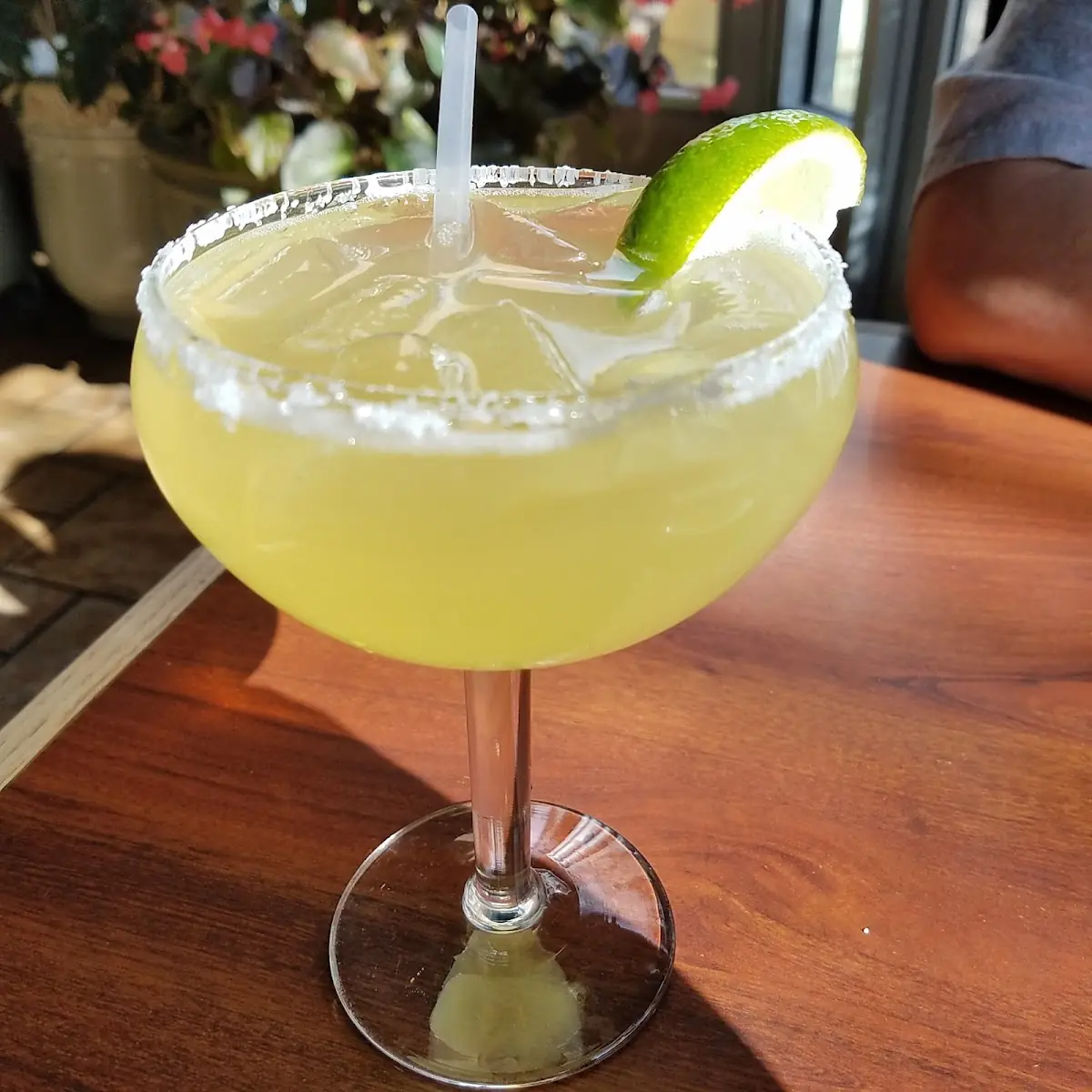 House Margarita