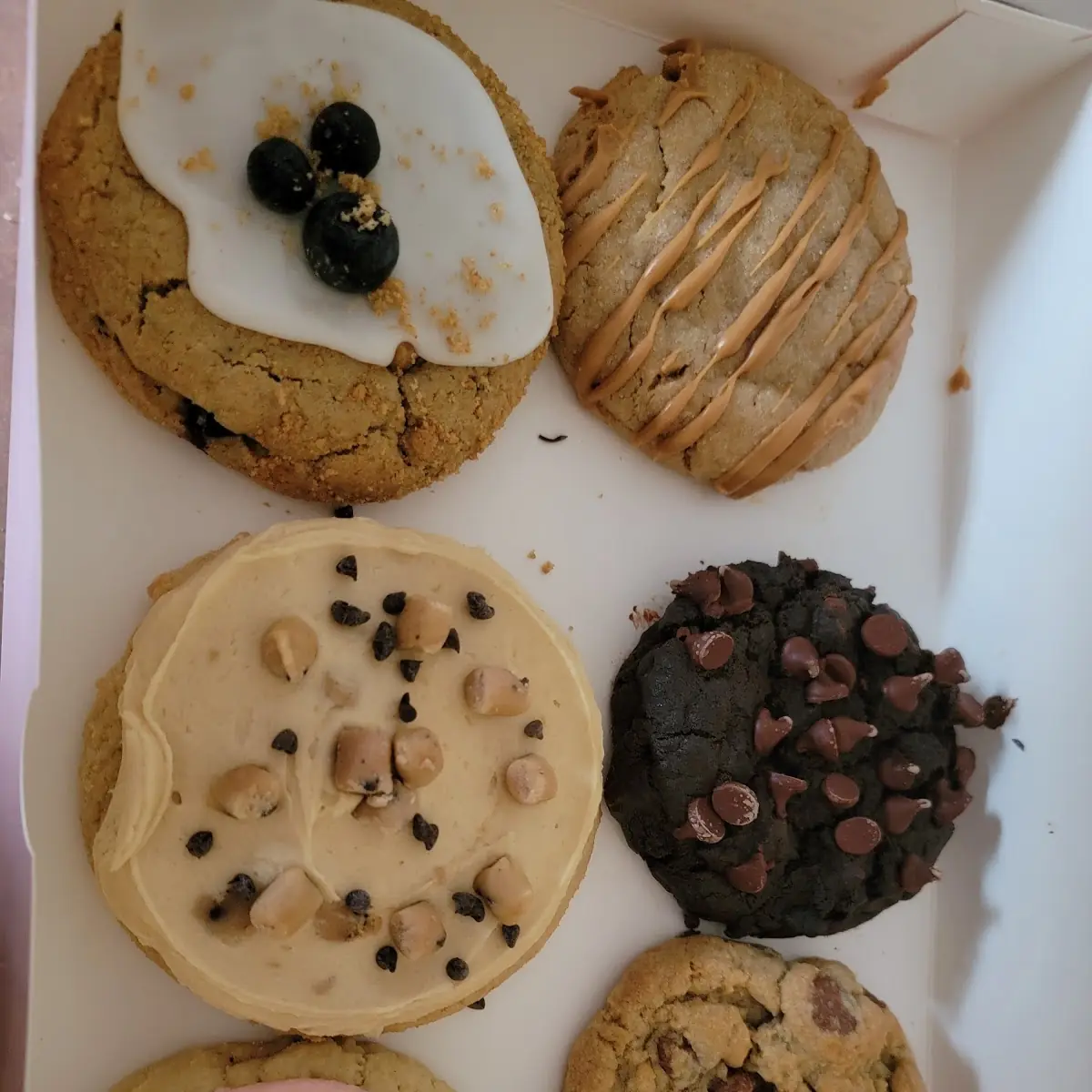 Cookies the Cookie Monster