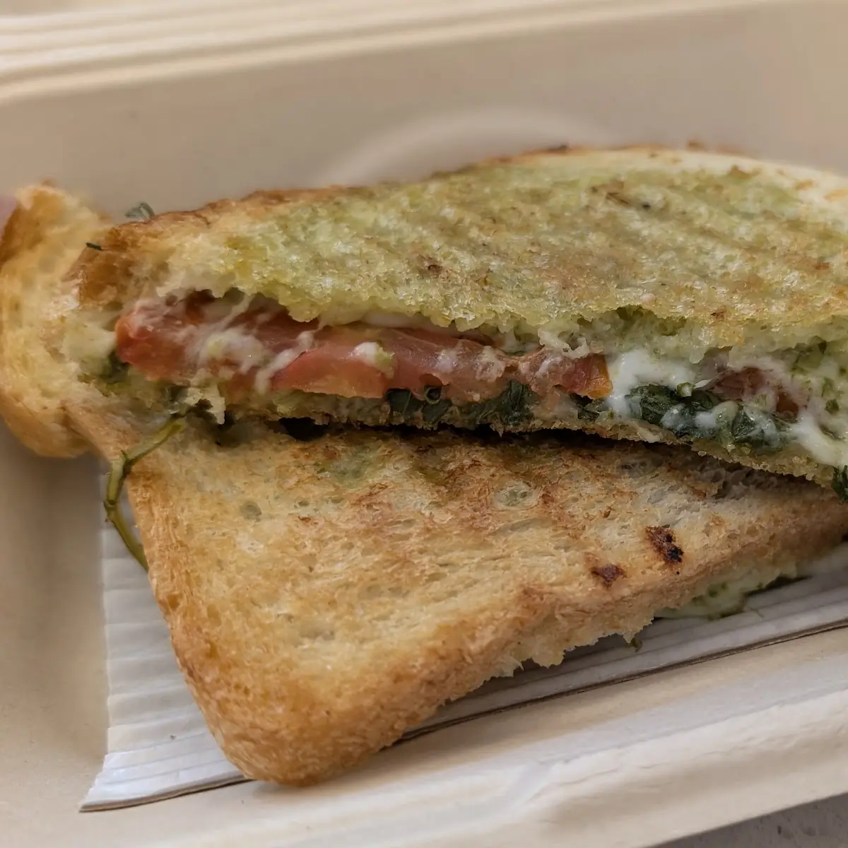 Tuna Melt Panini