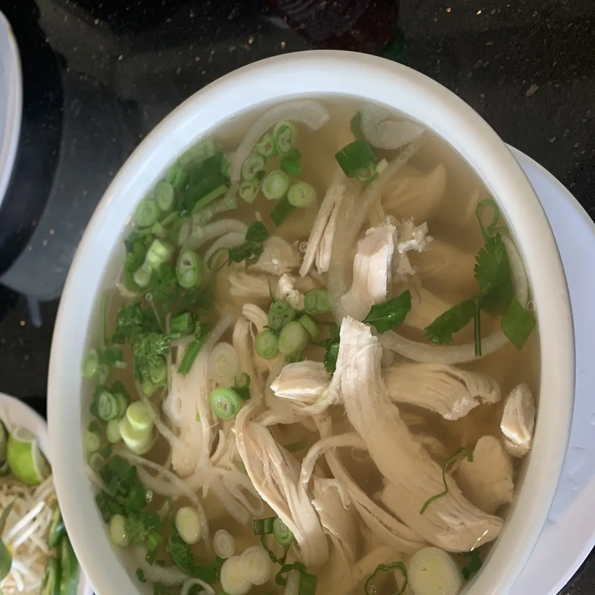 Chicken Noodle Soup Pho GA