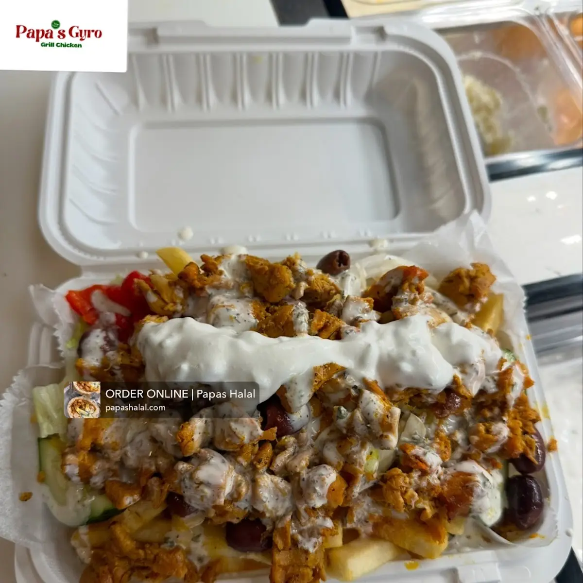 Chicken and Lamb Gyro Platter