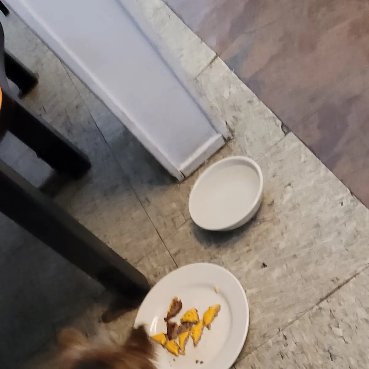 Pup Burger