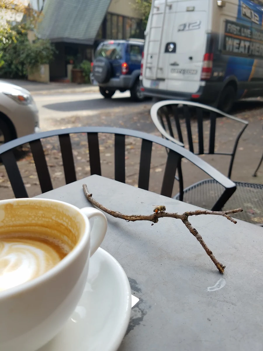 Cappuccino