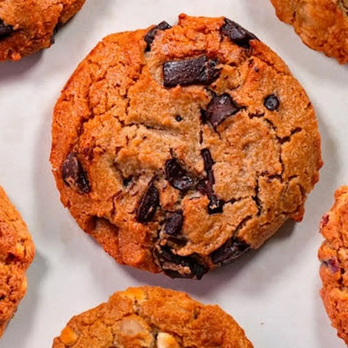 Cranapple Oatmeal Cookie