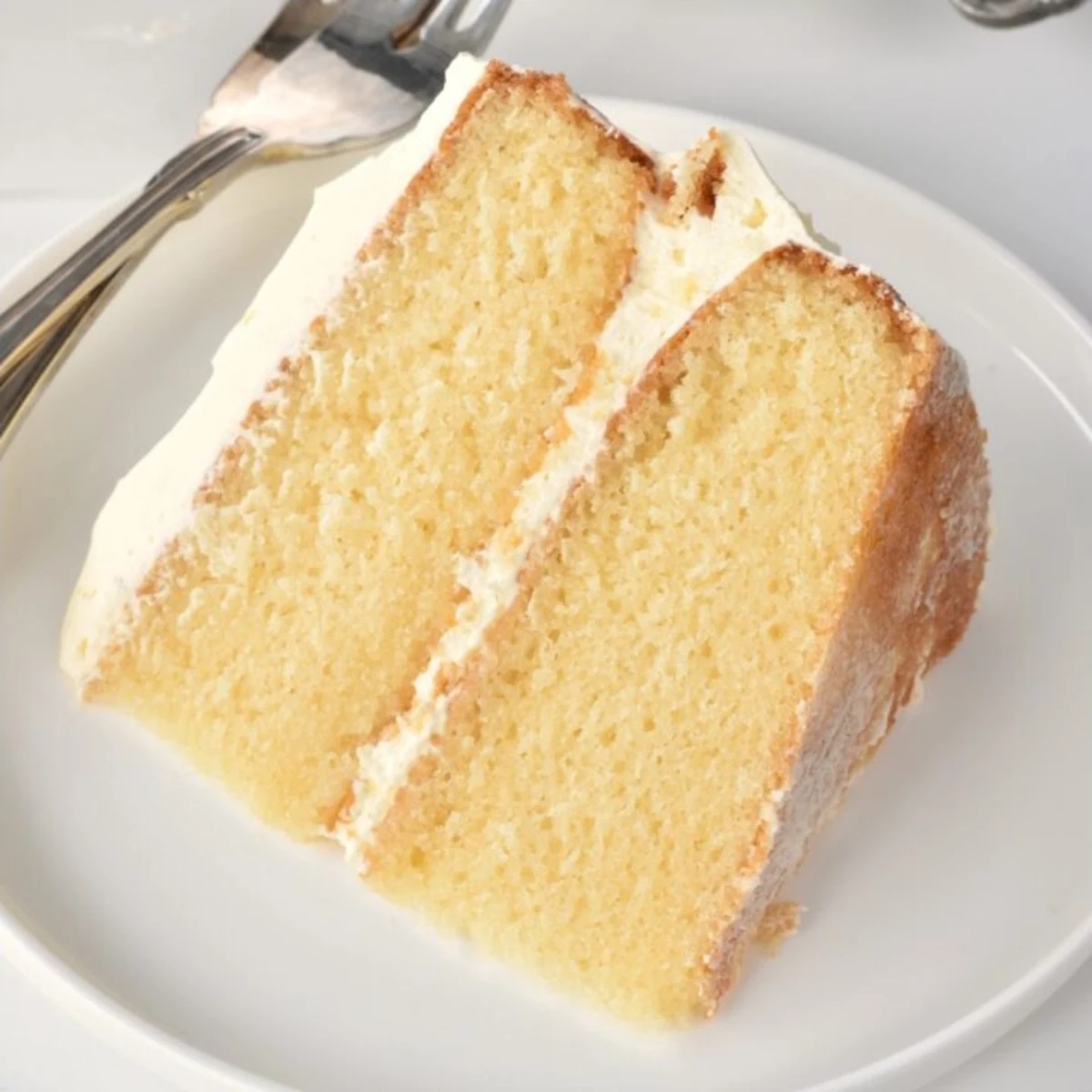 Cake Slice